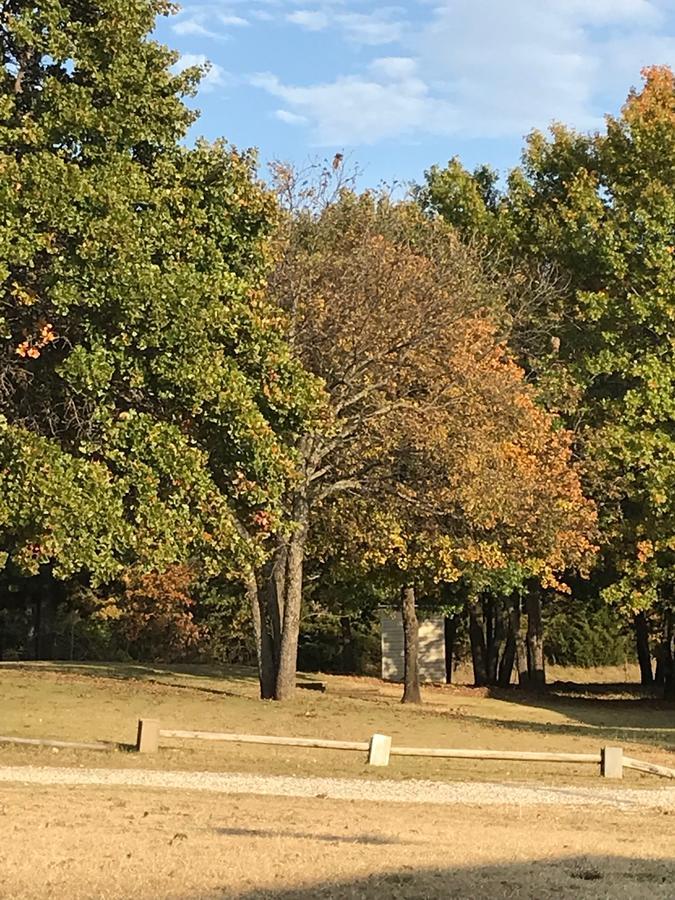 Arrowhead Point Lodge & Campground Kingston エクステリア 写真